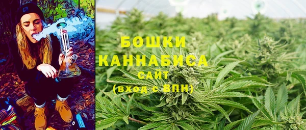 прущая мука Верея