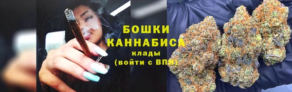ПСИЛОЦИБИНОВЫЕ ГРИБЫ Верхний Тагил